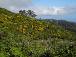 route des crêtes