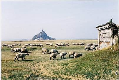 Description : Description : Description : Description : Description : Mont st Michel (3)