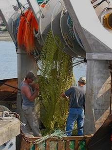 Trouville2 005